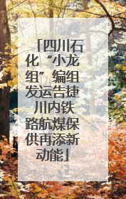 四川石化“小龙组”编组发运告捷 川内铁路航煤保供再添新动能