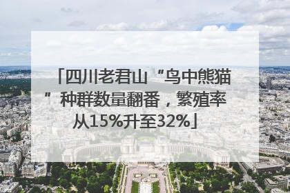 四川老君山“鸟中熊猫”种群数量翻番，繁殖率从15%升至32%