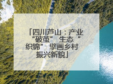 四川芦山：产业“破茧” 生态“织锦” 擘画乡村振兴新貌