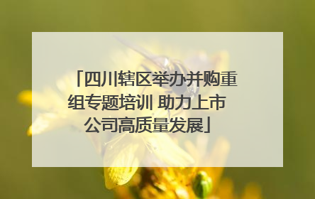 四川辖区举办并购重组专题培训 助力上市公司高质量发展