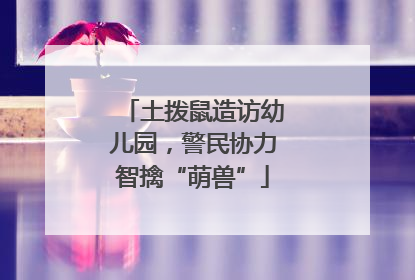 土拨鼠造访幼儿园，警民协力智擒“萌兽”