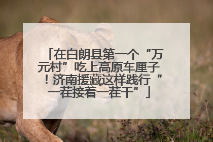 在白朗县第一个“万元村”吃上高原车厘子！济南援藏这样践行“一茬接着一茬干”