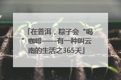 在普洱，粽子会“喝”咖啡——有一种叫云南的生活之365天
