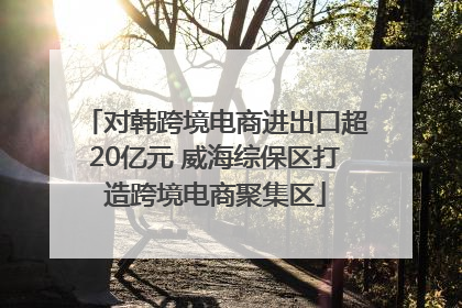 对韩跨境电商进出口超20亿元 威海综保区打造跨境电商聚集区