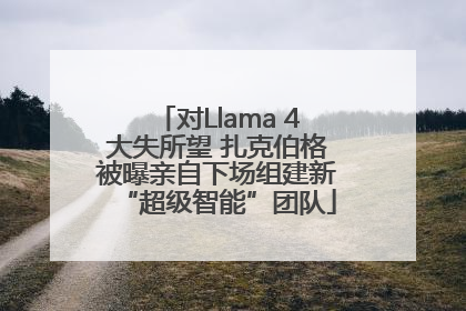 对Llama 4大失所望 扎克伯格被曝亲自下场组建新“超级智能”团队