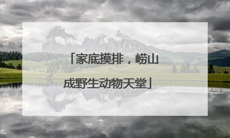 家底摸排，崂山成野生动物天堂