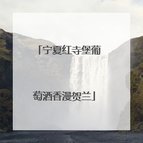宁夏红寺堡葡萄酒香漫贺兰