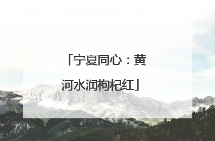 宁夏同心：黄河水润枸杞红