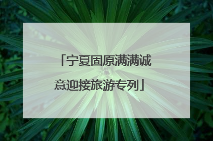 宁夏固原满满诚意迎接旅游专列