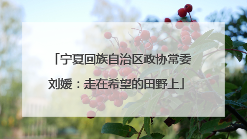 宁夏回族自治区政协常委刘媛：走在希望的田野上