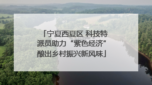 宁夏西夏区 科技特派员助力“紫色经济”酿出乡村振兴新风味