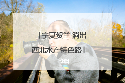 宁夏贺兰 淌出西北水产特色路