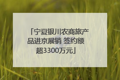 宁夏银川农商旅产品进京展销 签约额超3300万元