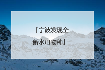 宁波发现全新水母物种