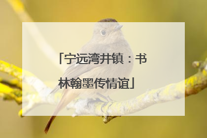 宁远湾井镇：书林翰墨传情谊