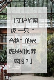 守护华南虎 一只“合格”的老虎是如何养成的？