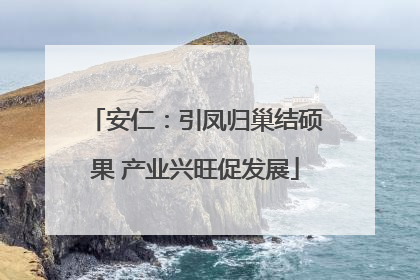 安仁：引凤归巢结硕果 产业兴旺促发展
