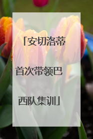 安切洛蒂首次带领巴西队集训