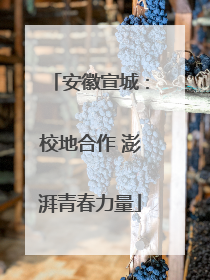 安徽宣城：校地合作 澎湃青春力量