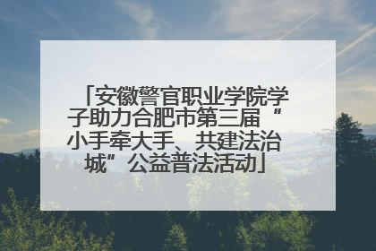 安徽警官职业学院学子助力合肥市第三届“小手牵大手、共建法治城”公益普法活动