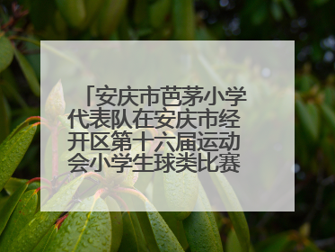 安庆市芭茅小学代表队在安庆市经开区第十六届运动会小学生球类比赛中获得佳绩