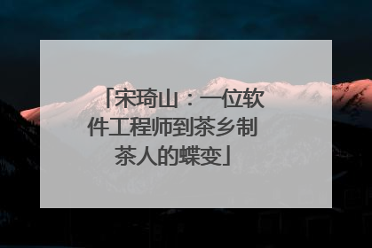 宋琦山：一位软件工程师到茶乡制茶人的蝶变