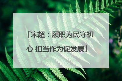 宋超：履职为民守初心 担当作为促发展