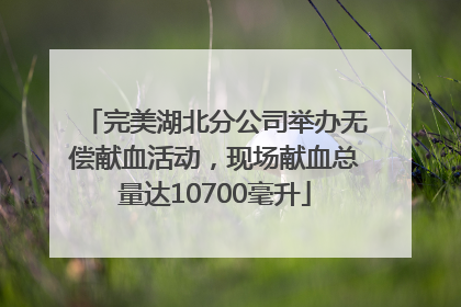 完美湖北分公司举办无偿献血活动，现场献血总量达10700毫升