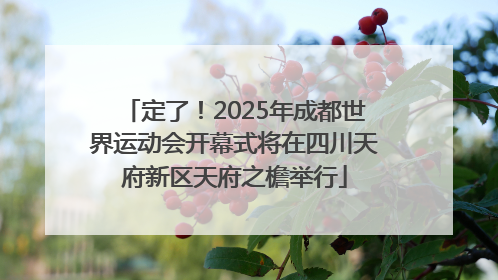 定了！2025年成都世界运动会开幕式将在四川天府新区天府之檐举行
