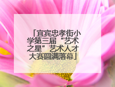 宜宾忠孝街小学第三届“艺术之星”艺术人才大赛圆满落幕