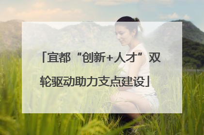 宜都“创新+人才”双轮驱动助力支点建设