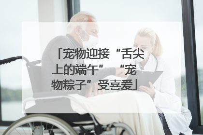 宠物迎接“舌尖上的端午” “宠物粽子”受喜爱