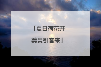 夏日荷花开 美景引客来