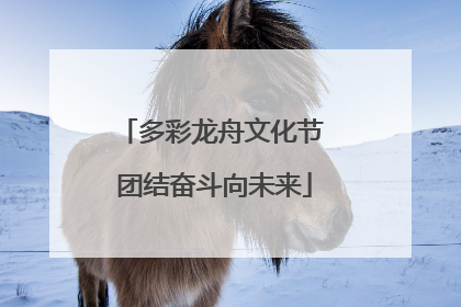 多彩龙舟文化节 团结奋斗向未来