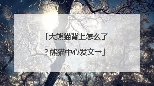 大熊猫背上怎么了？熊猫中心发文→