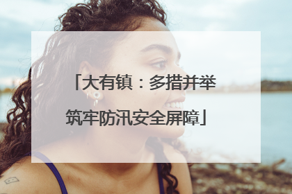 大有镇：多措并举筑牢防汛安全屏障