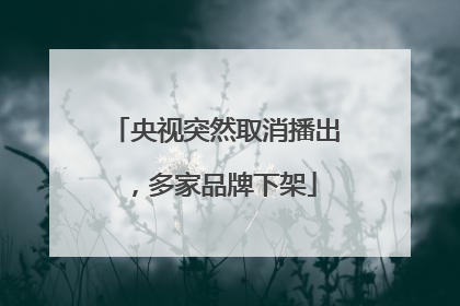 央视突然取消播出，多家品牌下架