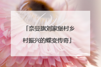 奈曼旗刘家堡村乡村振兴的蝶变传奇