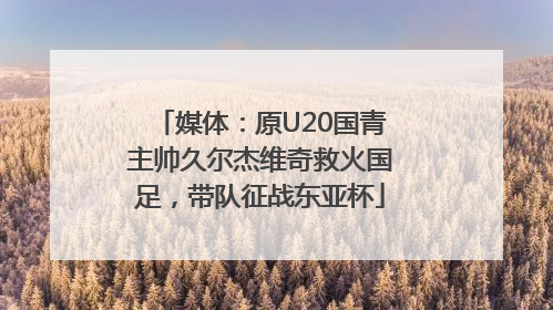 媒体：原U20国青主帅久尔杰维奇救火国足，带队征战东亚杯