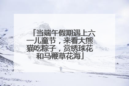 当端午假期遇上六一儿童节，来看大熊猫吃粽子，赏绣球花和马鞭草花海