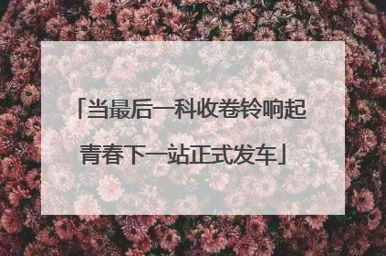 当最后一科收卷铃响起 青春下一站正式发车