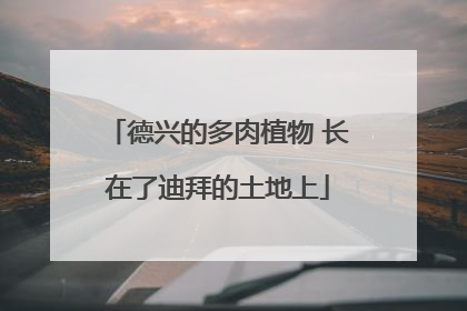 德兴的多肉植物 长在了迪拜的土地上