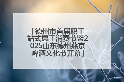 德州市首届职工一站式惠工消费节暨2025山东德州燕京啤酒文化节开幕