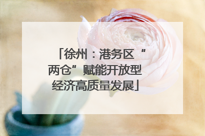 徐州：港务区“两仓”赋能开放型经济高质量发展