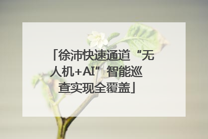 徐沛快速通道“无人机+AI”智能巡查实现全覆盖