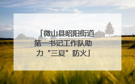 微山县昭阳街道第一书记工作队助力“三夏”防火
