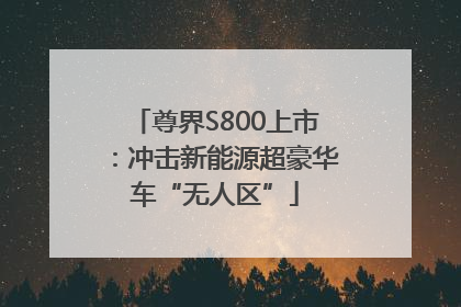 尊界S800上市：冲击新能源超豪华车“无人区”