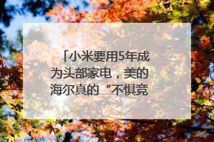 小米要用5年成为头部家电，美的海尔真的“不惧竞争”？｜热财经