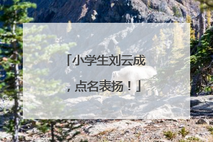 小学生刘云成，点名表扬！