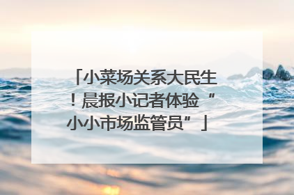 小菜场关系大民生！晨报小记者体验“小小市场监管员”